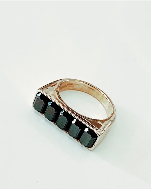 Leo - immagine 3